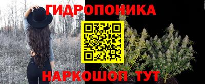 скорость Братск