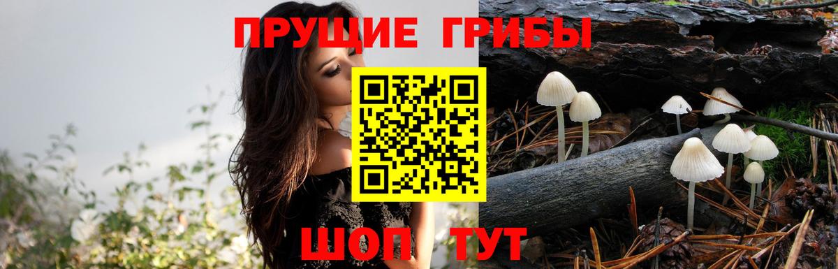 Галлюциногенные грибы Magic Shrooms Домодедово
