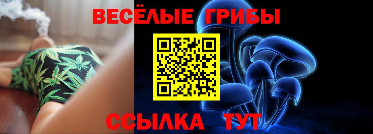 Домодедово  Галлюциногенные грибы GOLDEN TEACHER  Псилоцибиновые грибы прущие грибы  Вход с VPN 